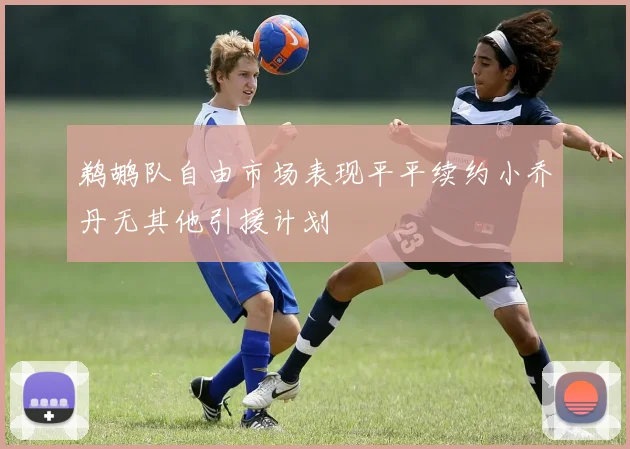 鹈鹕队自由市场表现平平续约小乔丹无其他引援计划