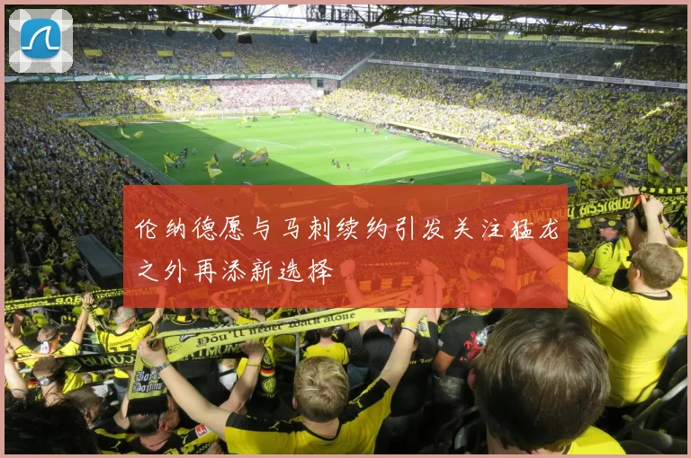 伦纳德愿与马刺续约引发关注猛龙之外再添新选择